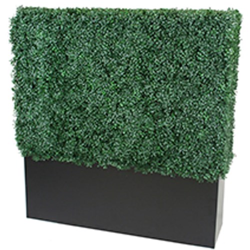 48" Boxwood Wall Divider